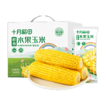 十月稻田鲜食水果玉米1.76kg（220g*8根）即食甜玉米棒真空包装