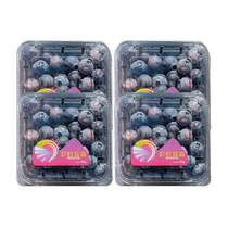 Shandong Xiangguo blueberry 125g*4 boxes 18mm baby food supplement for pregnant women fresh fruit sour SF
