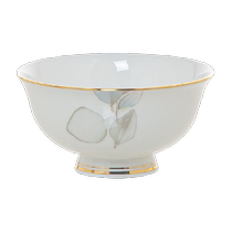 Light luxury dish set household Jingdezhen high-end 2024 new style bowls and bowls ceramic housewarming gift tableware