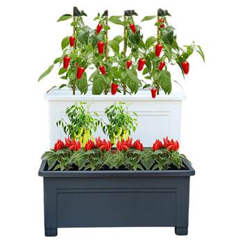 Flower Box Outdoor Garden Vegetable Pot Balcony Flower Pot Rectangular Vegetable Growing Box Long Strip-Shaped Lazy Flower Pot Extra Large Size