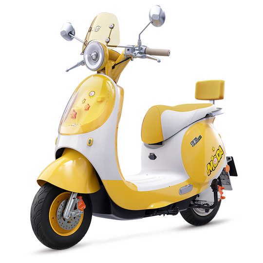Luyuan electric moped MODA60
