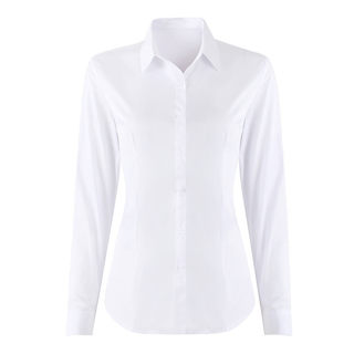 White shirt women's long-sleeved spring and summer work clothes formal work clothes short-sleeved striped business wear bottoming black and white shirt inch