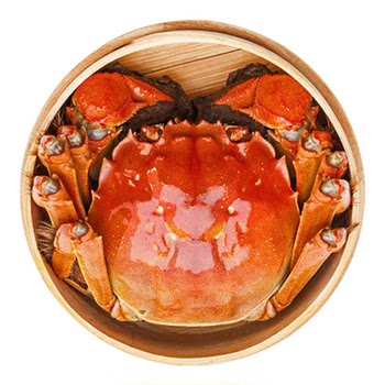 Extra large crab 4.5 two large hairy crabs fresh crabs