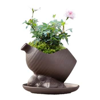 Purple sand flower pot june snow old pile gap landscape pot