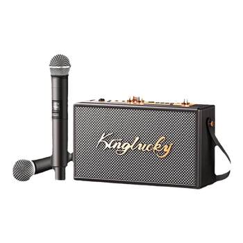 Top ten brands high-end home ktv audio packages
