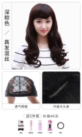 Cingard Bangs темно -коричневый [большая кожа головы] дает пять кусков подходов