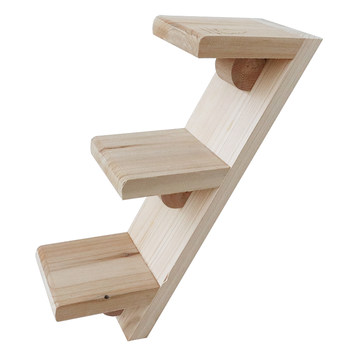 My neighbor totoro stairs springboard squirrel jumping platform tread grinding