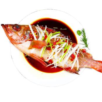 Extra large red grouper 4 fresh, quick-frozen large red fish