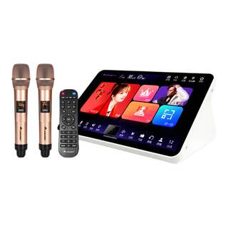 Inandon home karaoke machine ktv voice all-in-one machine