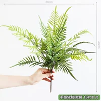 Мягкий папоротник тип I