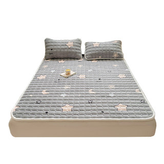 Class a antibacterial milk fleece mattress pad for warmth
