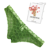 Mens briefs sexy transparent mesh low-waisted see-through fashionable prismatic mesh half hip-covering skin-friendly trendy and personalized