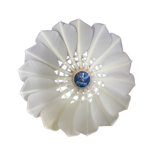 【国青限定版】战神羽羽毛球战神1号8号比赛训练球稳定耐打鹚鸪鸭