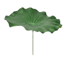 Lotus leaf dance props for childrens classical dance special handheld simulation lotus leaf and lotus performance decoration