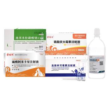 Rongjiarun cat nasal branch atomizer ຢາປົວພະຍາດສໍາລັບແມວແລະຫມາເຢັນ pet pneumonia sneezing cough nest cough atomization package treatment