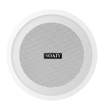 Sony Ericsson Wireless Bluetooth Speaker Ceiling Embedded Living Room Home Shop Ceiling Broadcast Amplifier Set 310