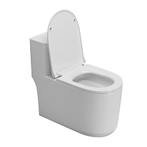 Suning new toilet home water pompage siphon integrated toilet bathroom small family toilet sitting WC 2005