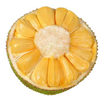Guan town hainan yellow flesh jackfruit fresh fruit