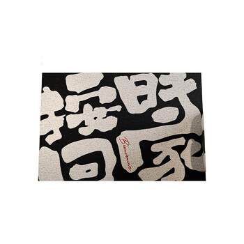Entrance door floor mat, home entrance, pvc wire ring door mat