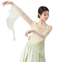 Dance country classical dance clothes for women elegant and fairy-like exercise clothes butterfly gauze clothes adult tops national style performance clothes