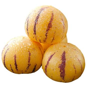 Only yellow fruits丨ready to eat after receiving丨tree ripe ginseng fruit