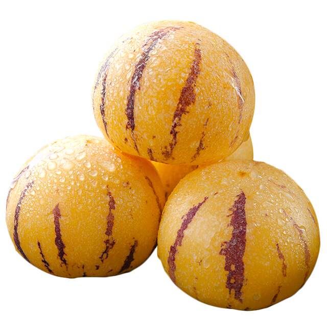 Only yellow fruits丨Ready to eat after receiving丨Tree ripe ginseng fruit