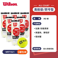 Тренировочные мячи TITANIUM 6 шт.