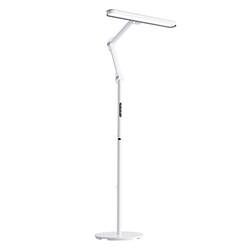 Honeywell Living Room Bedroom Bedside Desk Floor-Standing Eye Protection Lamp Student Kidsren's Desk Lamp Special Reading Lamp for Study