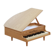 AngelNaco childrens piano toy electronic keyboard childrens beginner baby mini piano instrument gift