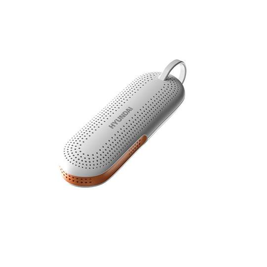 Korean HYUNDAI shoe dryer dry shoes deodorizing and sterilizing