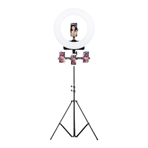 Tebao LED Ring Tonic Light lamp Camera Mobile phone Live bracket Beauty Lights Taobao Direct sowing room Placement of a shadow shed