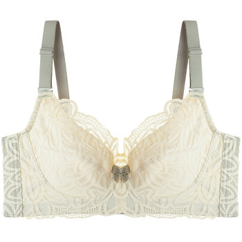 Aide's non-wired large breasts appear small, baby-grade cup