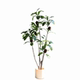 Simulated plant Bex large high-end light luxury living room
