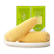 Sky Diligent Grain Grain Net 2023 New Season Great White Glutinous Sweet Glutinous Corn Stick Vacuum Organic Packing 300g * 10 Lots