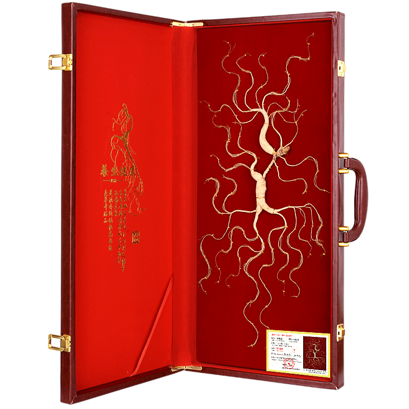 年末大感謝祭東京土産編激安!!]富貴蘭 白翁(長生殿白