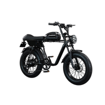 Phoenix electric bicycle 48V lithium battery moped mountain bike mens and womens bicycle adult battery car