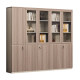Semphiya file cabinet with lock glass display