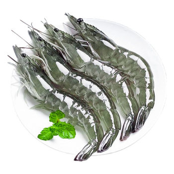 Fresh qingdao prawns frozen extra large white prawns