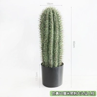 Моделирование 60 см плотных шипов