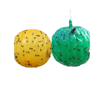 Fruit fly trap goes indoors to kill small flying insects nemesis mosquito midges kitchen fruit shop to lure sticky fly balls