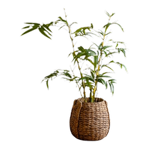 Hanhan – plantes vertes simulées horloge suspendue en forme de gourde dorée bois anesthésique bonsaï dintérieur fausses plantes vertes ornements décoratifs en bambou simulé