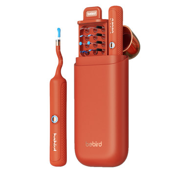 Gift box visual ear-pier bebird