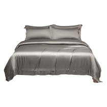 Summer Lyocell Tencel Quilt Cover Single Piece 2024 New Cool Feeling Ice Silk Quilt Cover Sheet 150x200x230