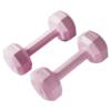 Dumbbell ladies fitness equipment home barbell kettlebell