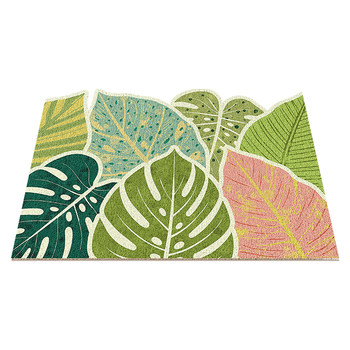 Entrance door entrance wire ring foot mat anti-slip and dirt-resistant floor mat