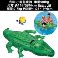 58546 Crocodile Mount