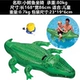 58546 Crocodile Mount