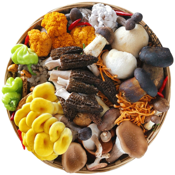 Yunnan fresh mushroom combination | picking first-class mushrooms on the day