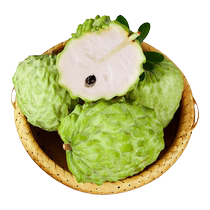 Hainan milk custard apple freshly picked custard apple large custard apple rose custard apple non-Taiwanese