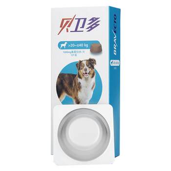 ຢາ anthelmintic Bravecto ສໍາລັບຫມາ, in vitro deworming ສໍາລັບ puppies, Bebito pet ticks, Bayer Bravecto